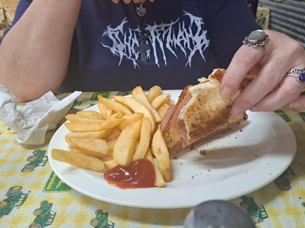 Hot Ham and Cheese with Fries